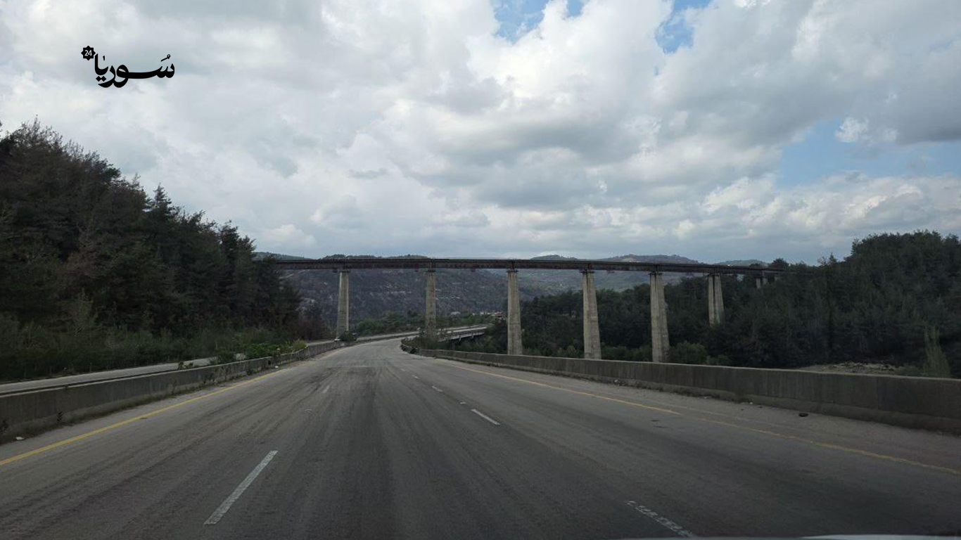 اللاذقية: انتهاكات وتعديات تهدد غابات الريف الشمالي